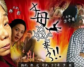 精英特工版